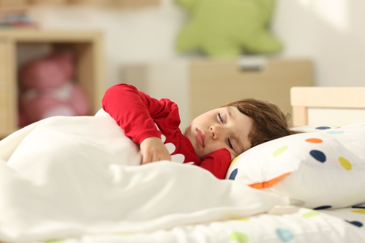 How To Get Your Toddler To Sleep Hibermate