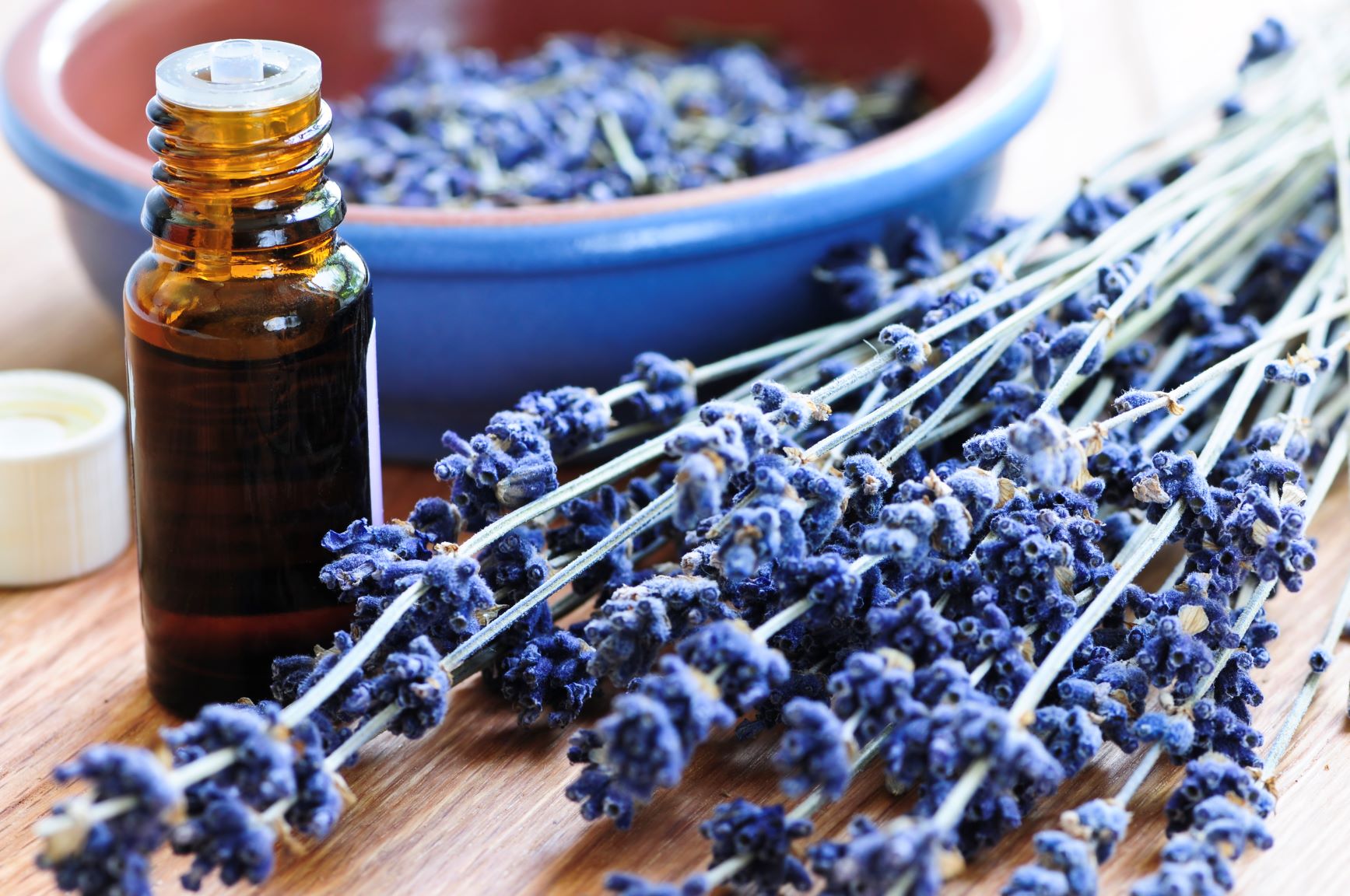 How to Make Lavender Oil Spray for Bed Bugs and How You Can Get Rid of
