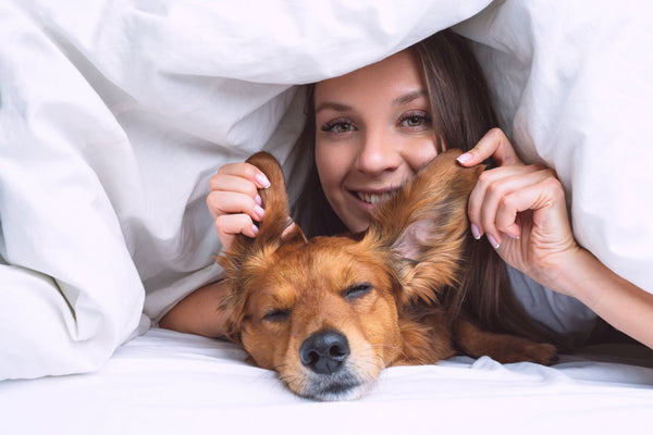 Why Dogs Should Sleep In Your Bed