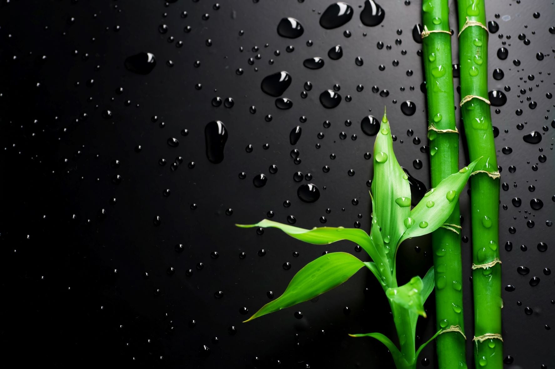 Are Bamboo Sheets Good? Your Bedsheets Can Make or Break Your Sleep