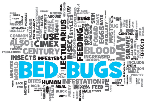 How to Prevent Bed Bugs - 7 Simple Ways of Stopping Them From Getting Into Your Bed