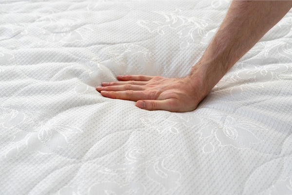 Can Bed Bugs Live In Memory Foam? - Our Guide on Bed Bugs and Memory Foam Mattresses