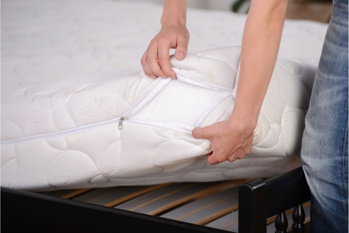 How To Check Mattress For Bed Bugs Hibermate